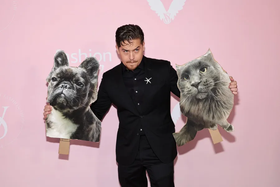 Dylan Sprouse attends the Victoria s Secret Fashion Show