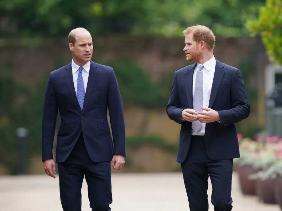 Prince William and Prince Harry's Ups and Downs