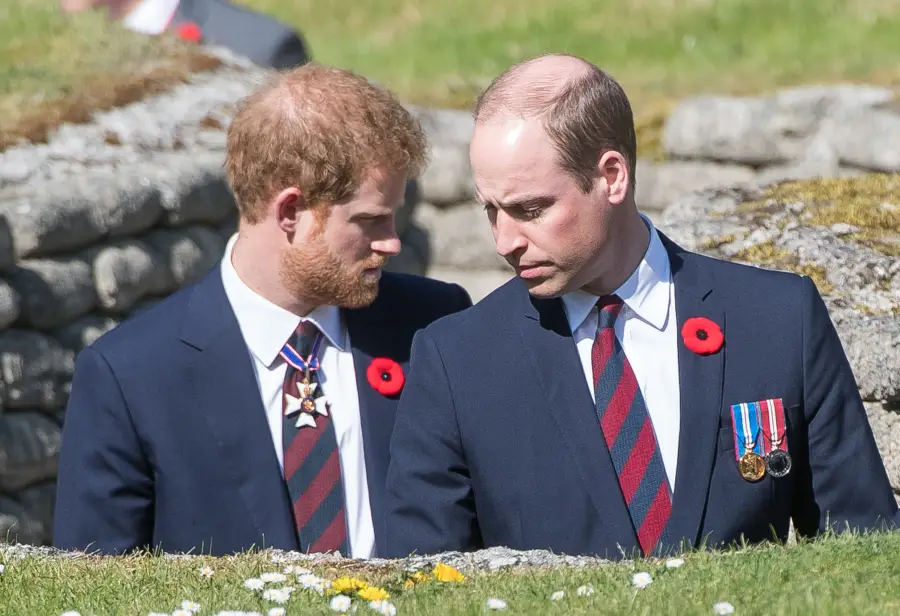 Prince William and Prince Harry's Ups and Downs