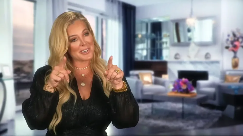 Jim Bellino Denies Dating RHOC Alum Elizabeth LYN Vargas