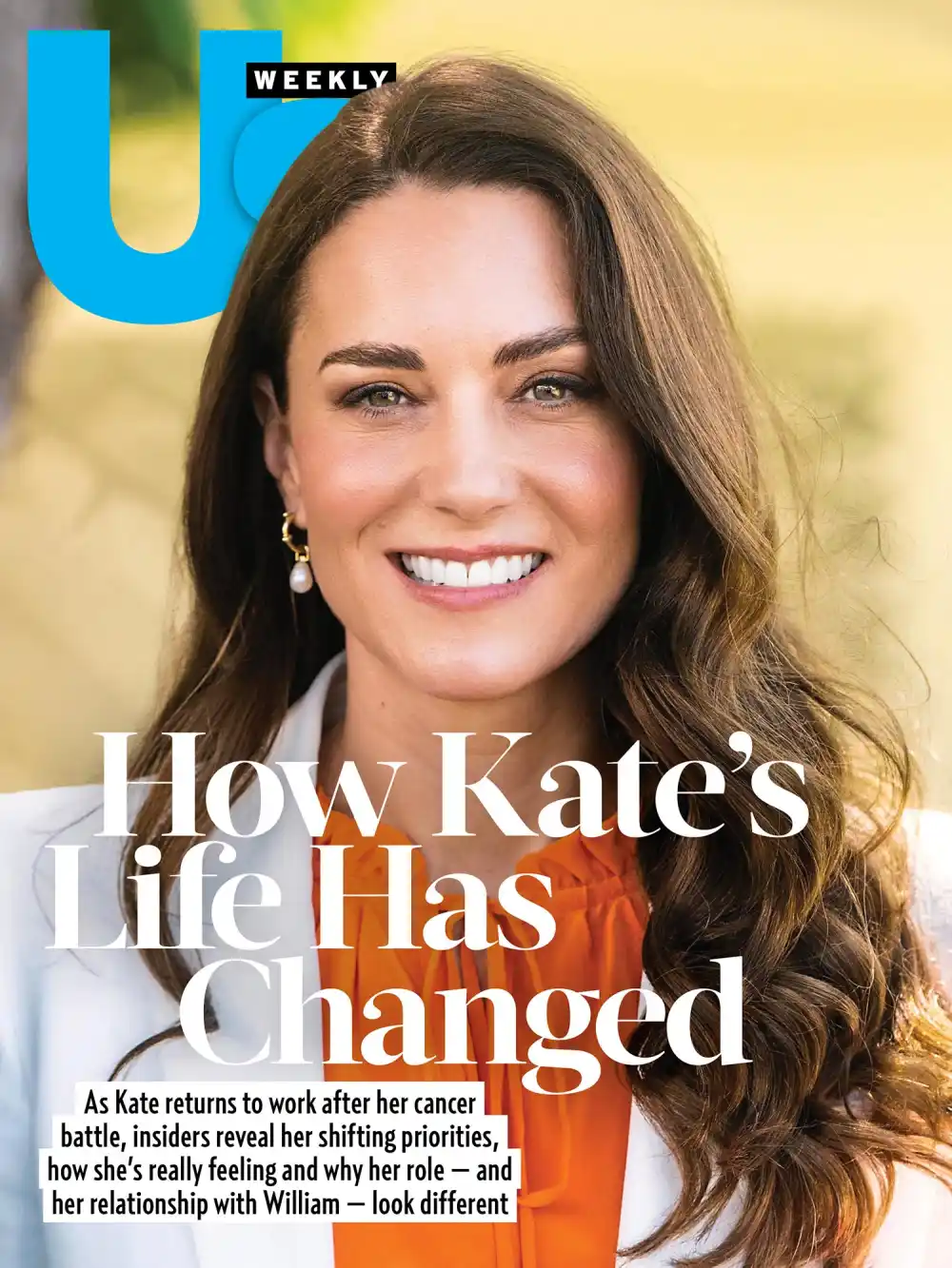 Kate Middleton 2446 Luxury Handbag Shopping Cover No Chip