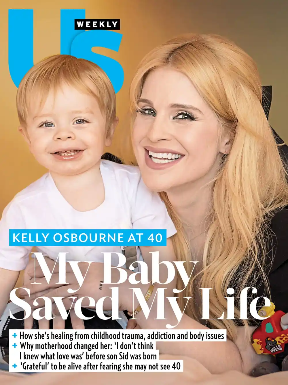 Kelly Osbourne 2446 Luxury Handbag Shopping Cover No Chip