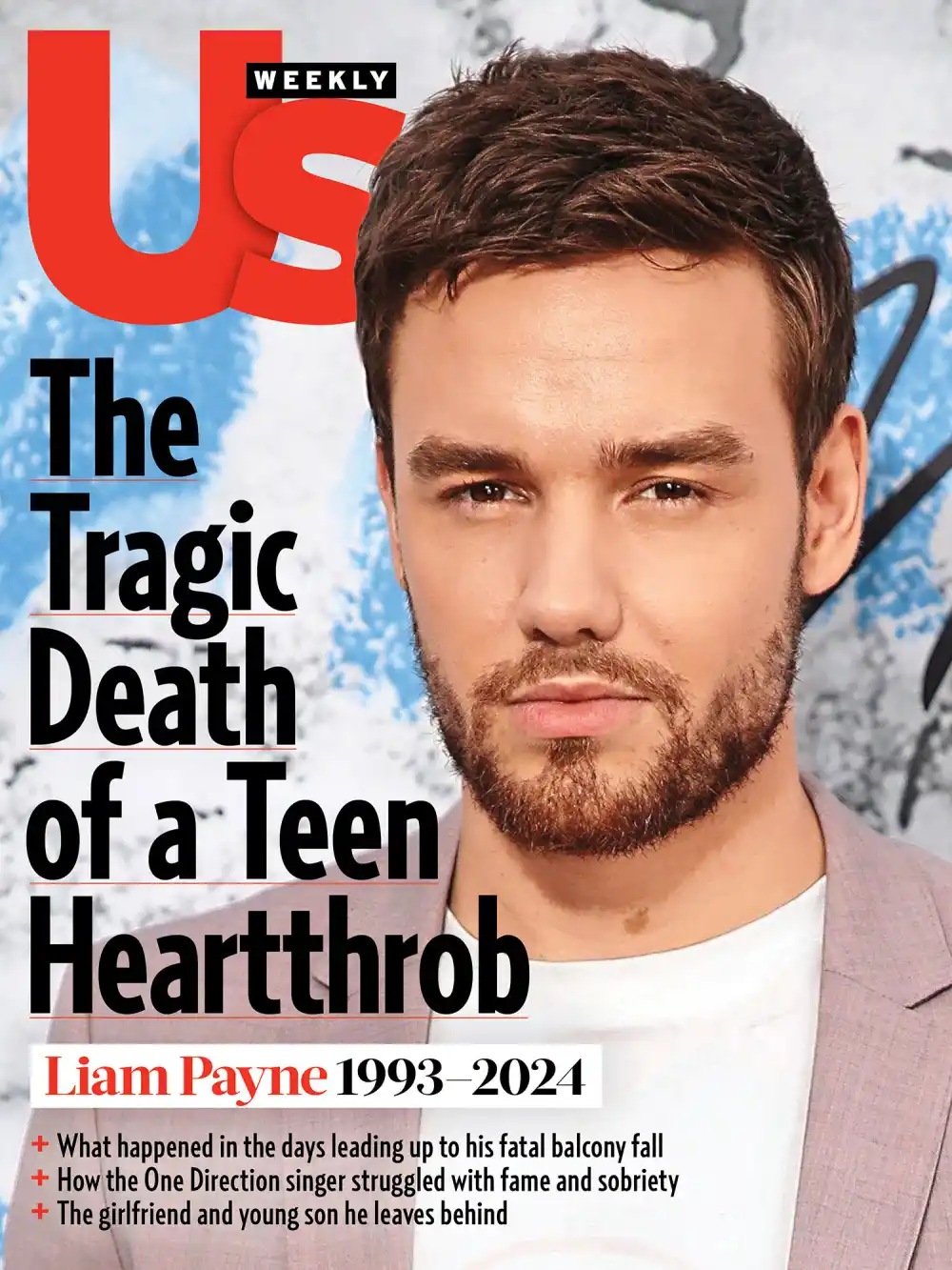 Liam Payne 2445 Luxury Handbag Shopping Cover No Chip