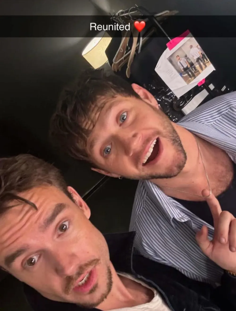 Liam Payne asisti&oacute; al concierto de su excompa&ntilde;ero de 1D Niall Horan a principios de este mes, hac&iacute;a tiempo 784 812