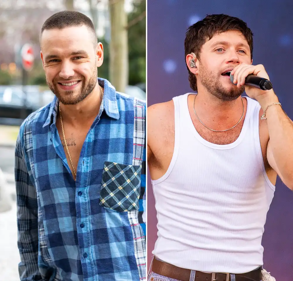 Liam Payne asisti&oacute; al concierto de su excompa&ntilde;ero de 1D Niall Horan a principios de este mes, hac&iacute;a tiempo 784