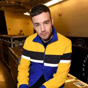 Liam Payne Building the Band Reality Show Future Undecided After His Death