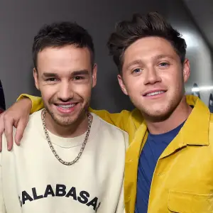 Niall Horan Reacts to Liam Paynes Death