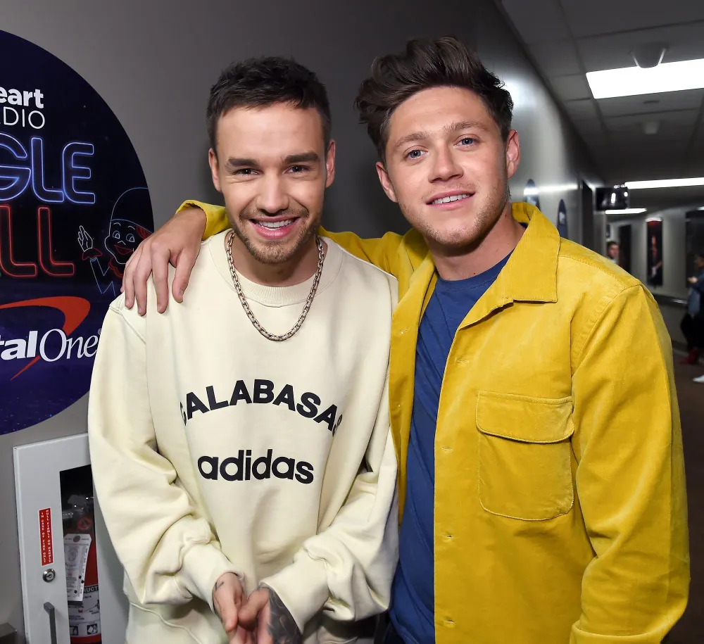 Niall Horan Reacts to Liam Paynes Death