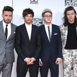 One Direction Musicians Pay Tribute to Liam Payne After His Death: It 'Feels So Surreal'