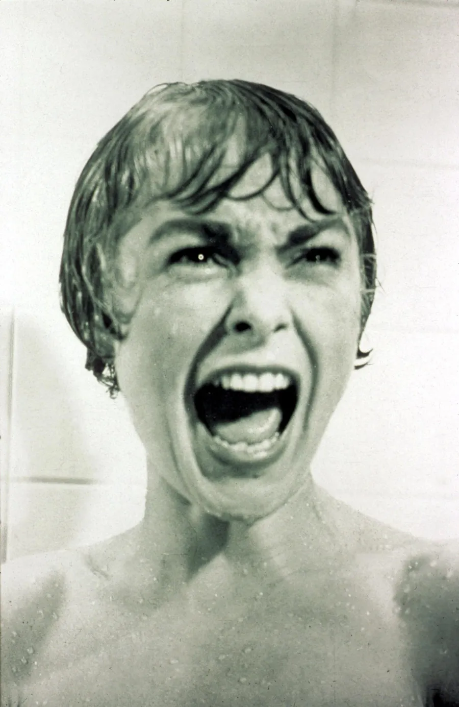 Ranking-Top-10-Scream-Queens-Janet-Leigh-(Psycho-142