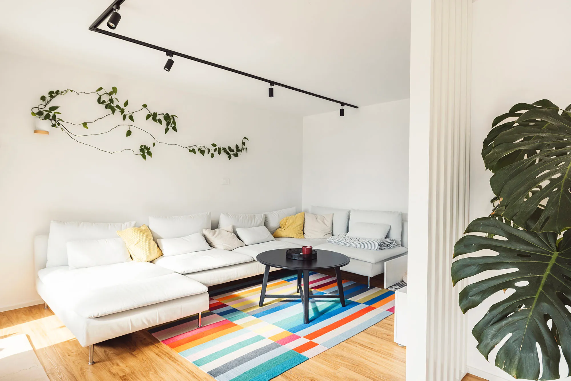 colorful rug in living room