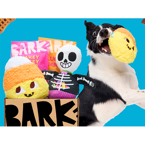 BarkBox Dog Toy Subscription
