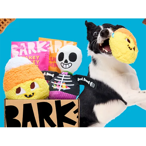 BarkBox Dog Toy Subscription