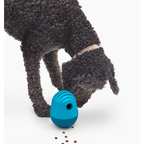 Fable Pets Interactive Dog Toy