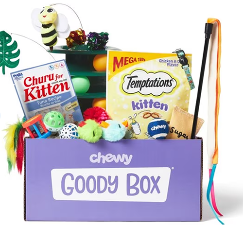 Chewy Goodie Box for Kittens