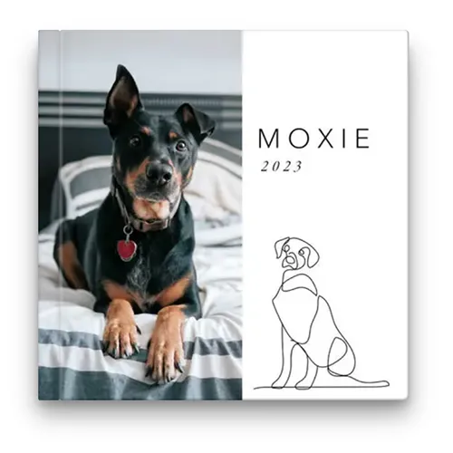 Contemporary Dog Coffee Table Book
