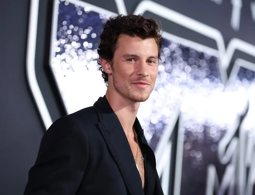 Shawn Mendes Addresses Rumors About Sexuality in New Song