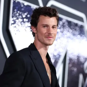 Shawn Mendes Addresses Rumors About Sexuality in New Song