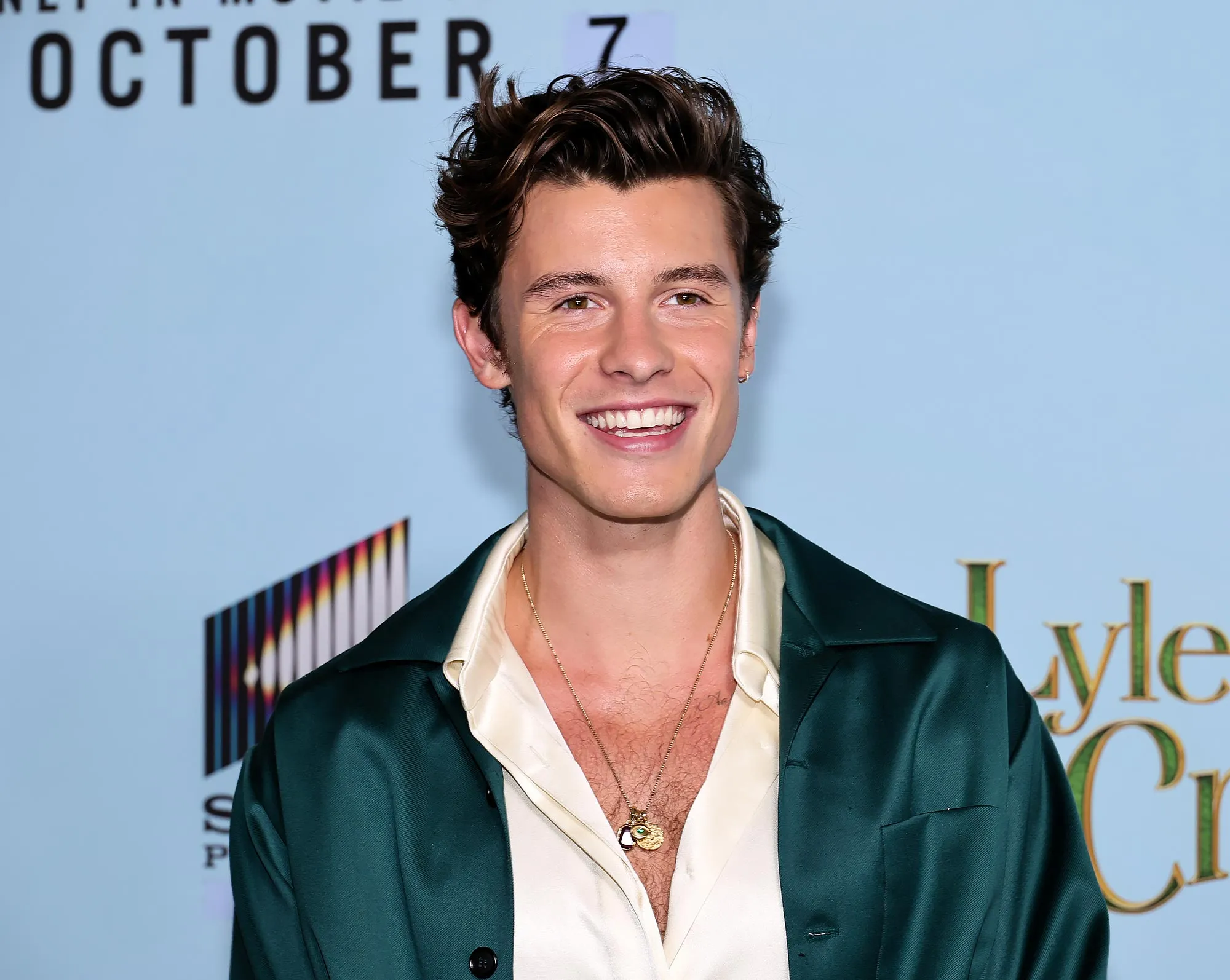 Shawn Mendes Most Candid Quotes About His Sexuality Through the Years