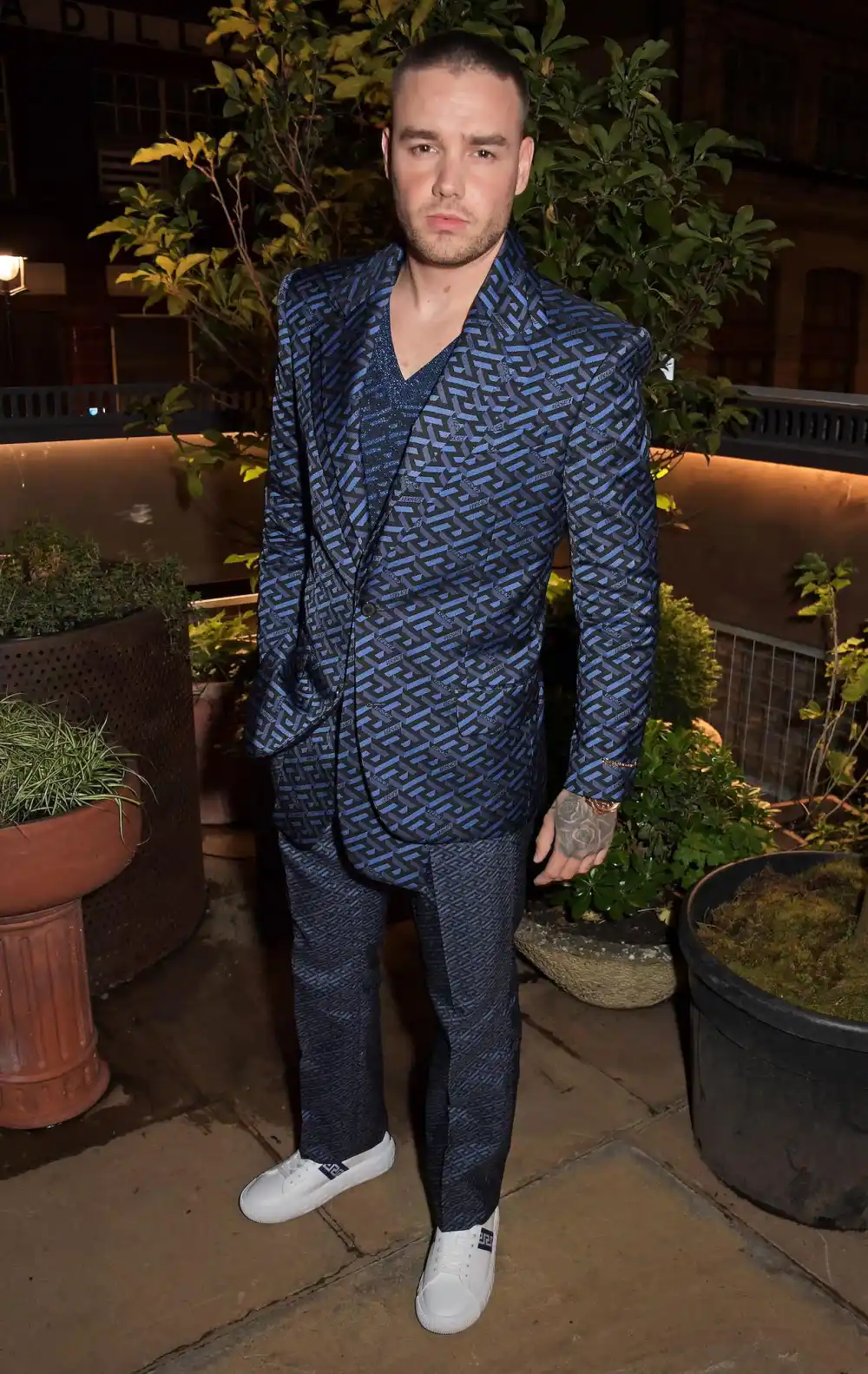 What Has Liam Payne Said About Struggles With Drugs and Alcohol