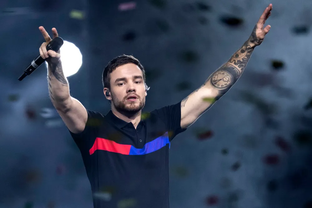 What Has Liam Payne Said About Struggles With Drugs and Alcohol