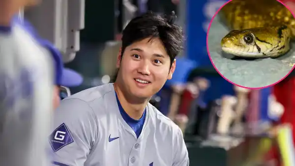 Yes a Snake Really Did Slither Into Dodgers Dugout During Game 2 of NLCS