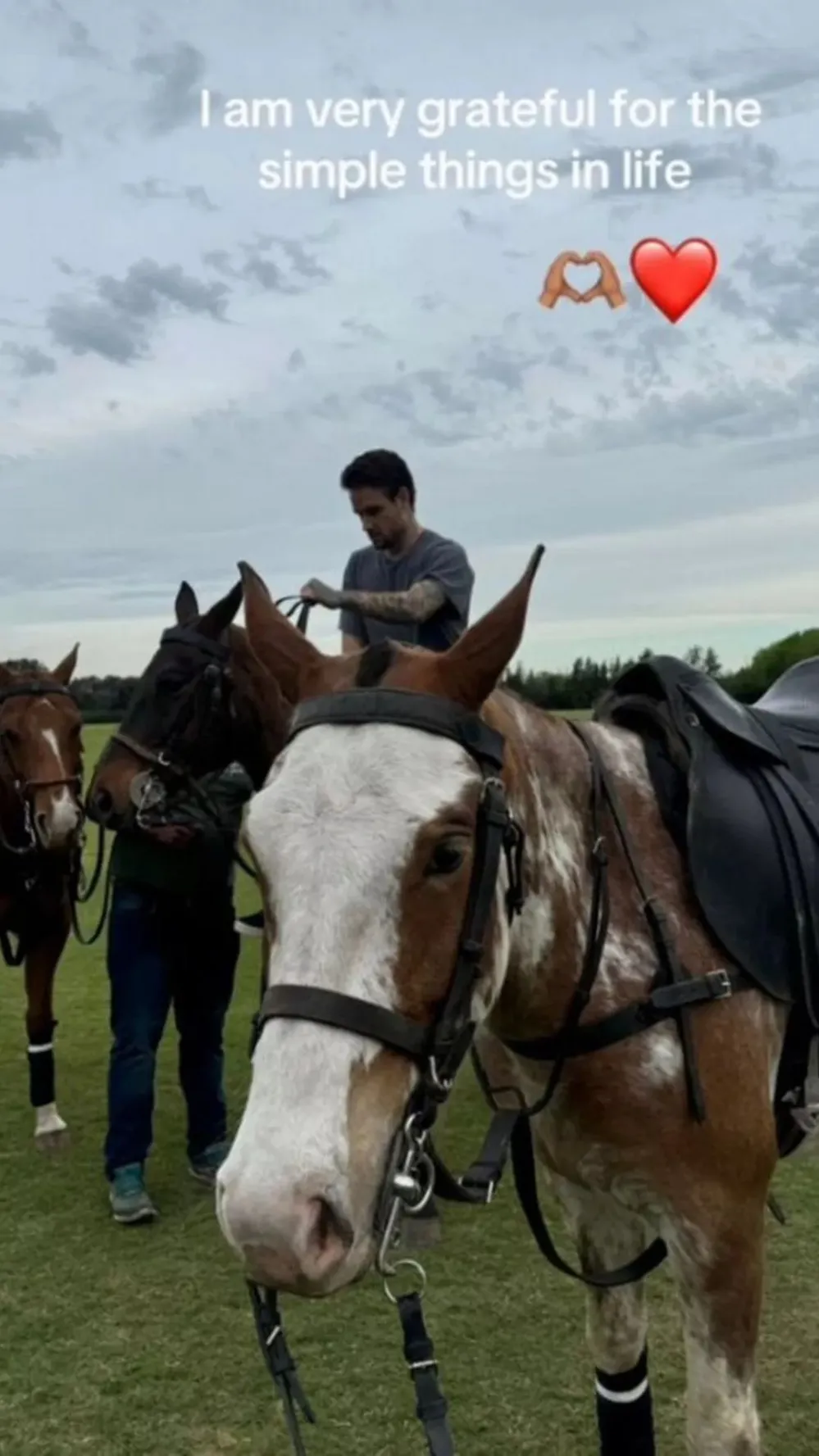 Liam Payne a caballo
