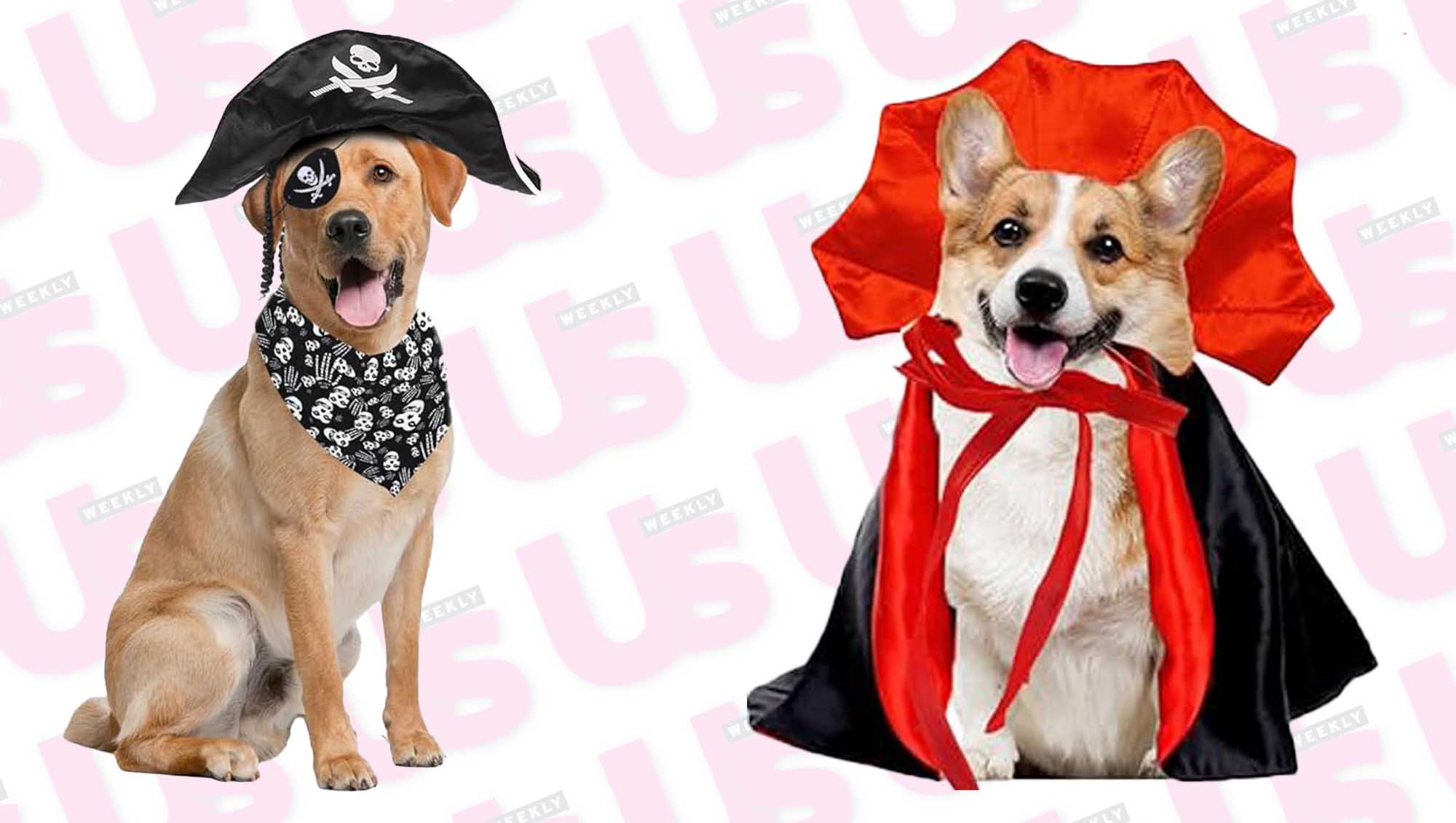 Pet Costumes