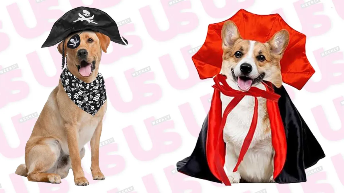 Pet Costumes
