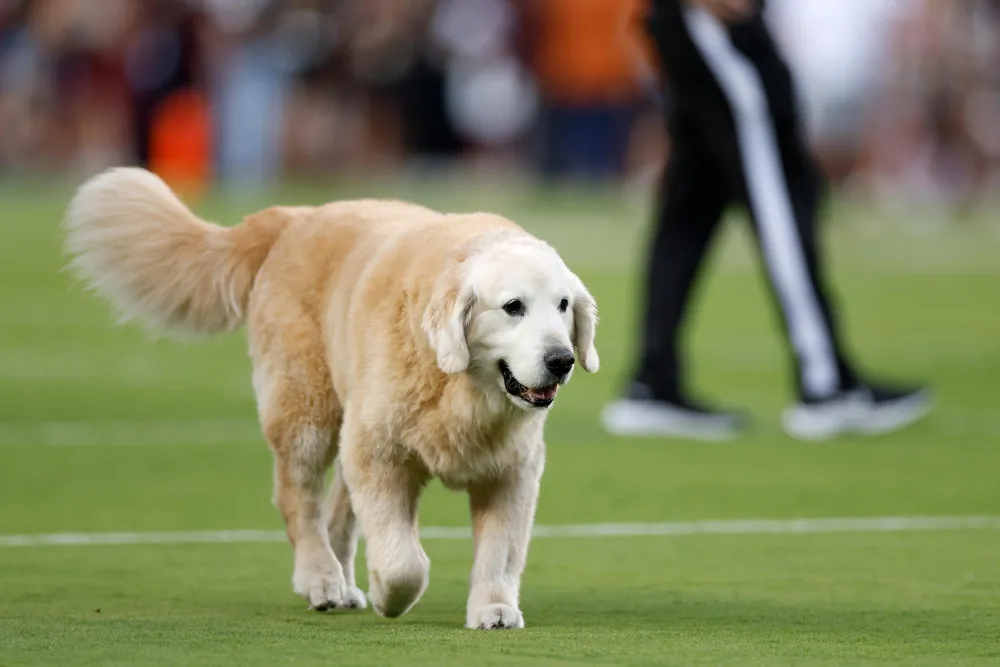 ESPNs Kirk Herbstreit Delivers Emotional Tribute to Late Dog Ben