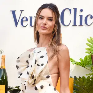 Alessandra Ambrosio New Boyfriend Go Instagram Official