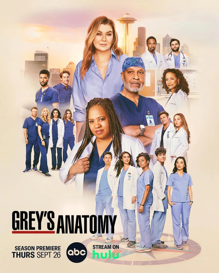 Best Medical TV Shows of All Time ER Grey s Anatomy and More Grey s Anatomy (ABC 2005 now) 0449