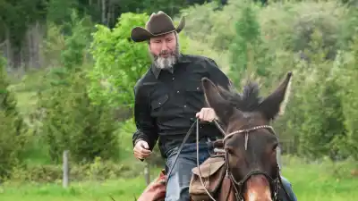 Comedian Tom Green on Favorite TV Moment and Canadian Farm Life With Mule Fanny