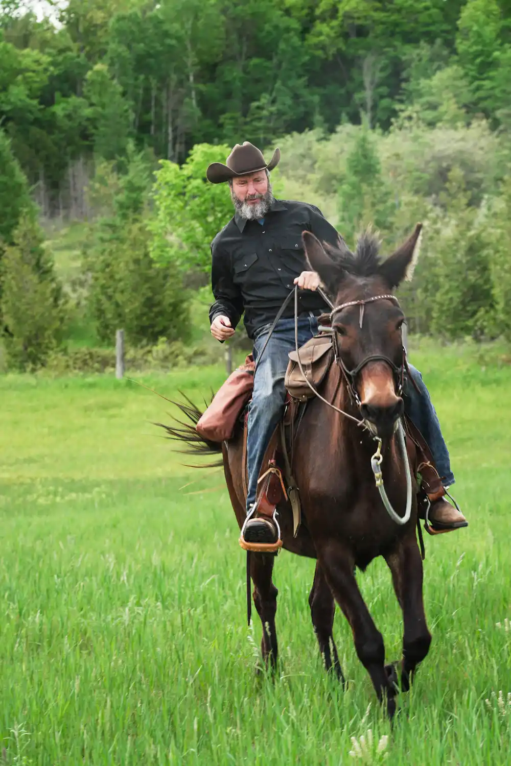 Comedian Tom Green on Favorite TV Moment and Canadian Farm Life With Mule Fanny