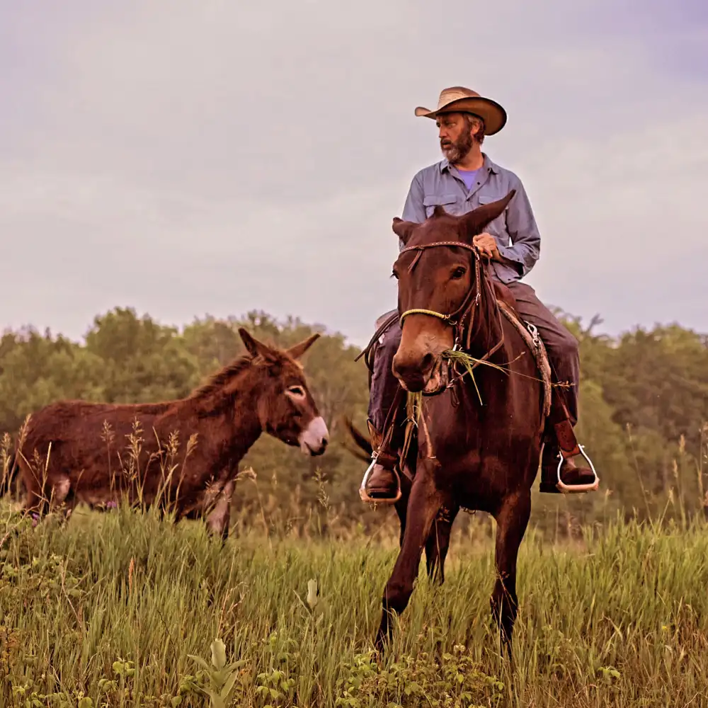 Comedian Tom Green on Favorite TV Moment and Canadian Farm Life With Mule Fanny
