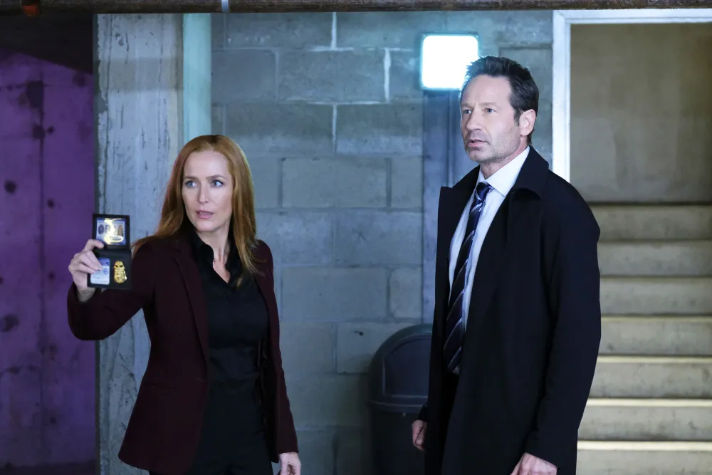 David Duchovny Details Failure of Gillian Anderson Friendship