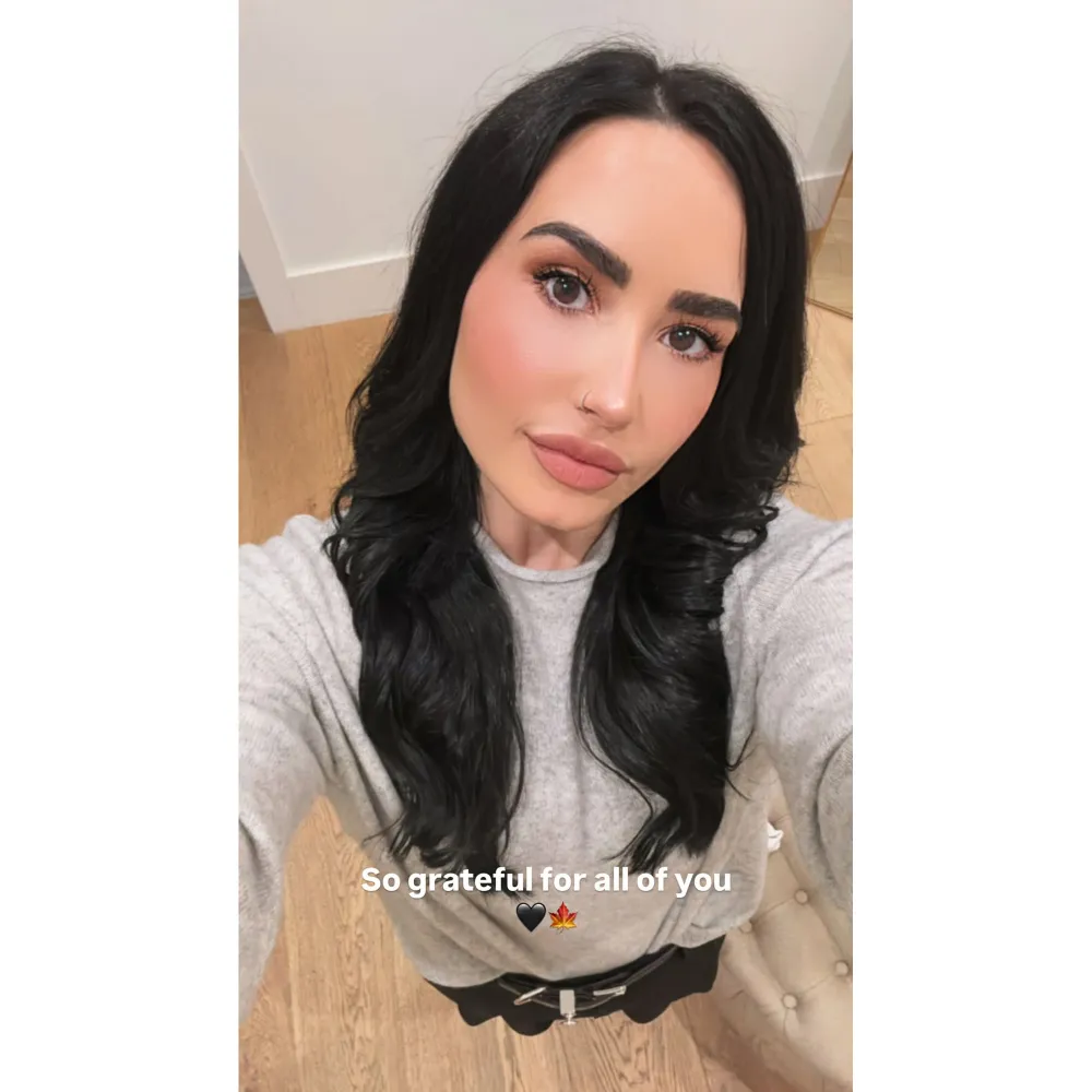 Demi Lovato Thanksgiving 2024