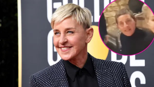 Ellen DeGeneres Ditches Her Signature Blonde Strands for Brown Hair