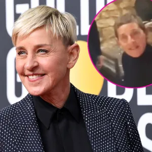 Ellen DeGeneres Ditches Her Signature Blonde Strands for Brown Hair