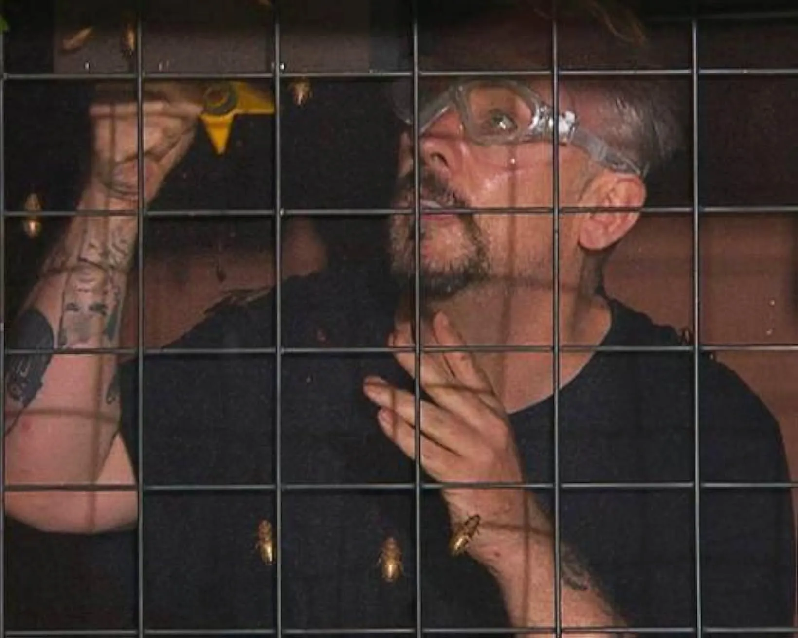 I'm a Celebrity...Get Me Out of Here