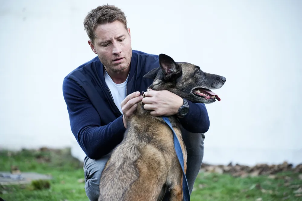 Justin Hartley's Newest 'Tracker' Case Has Colter Rescuing a Stolen Dog &mdash; and Winning Over Us' Heart