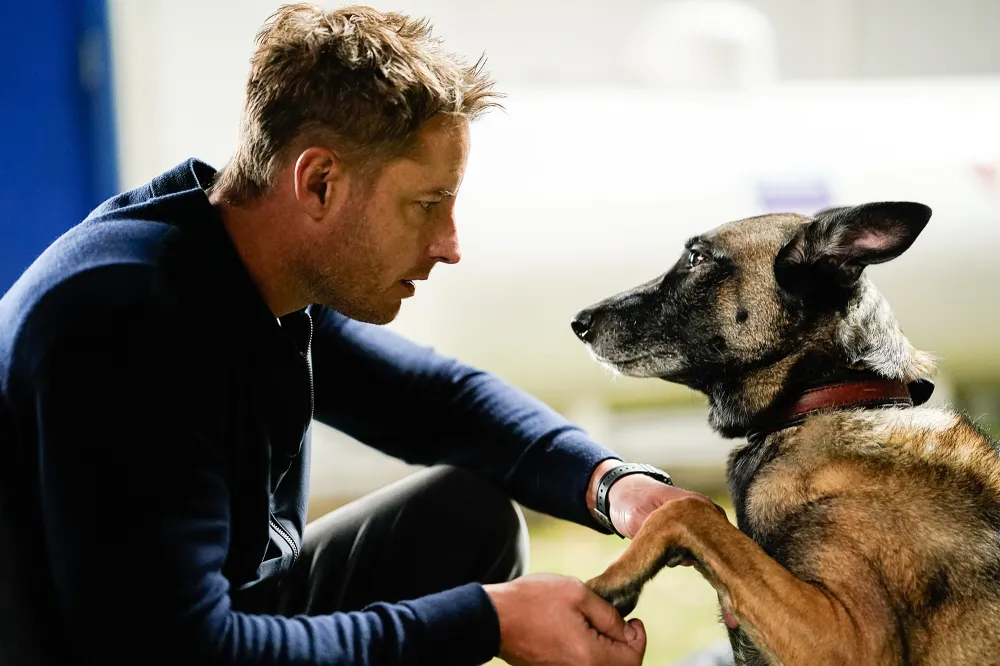 Justin Hartley's Newest 'Tracker' Case Has Colter Rescuing a Stolen Dog &mdash; and Winning Over Us' Heart
