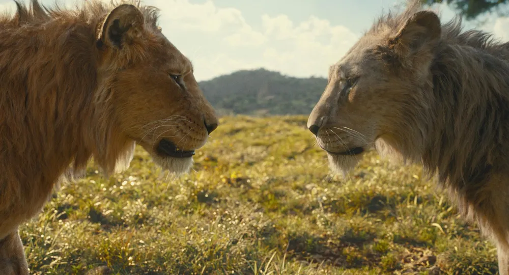 Kelvin Harrison Jr Reveals How He Developed His Own Version of Scar in Mufasa The Lion King
