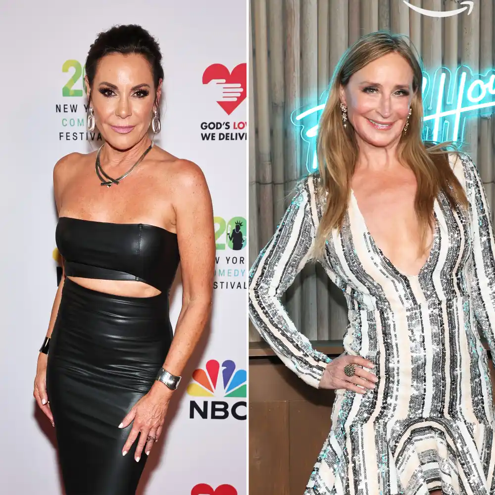 Luann de Lesseps Jokes About Past Arrest While Discussing Sonja Morgan s Move to Palm Beach