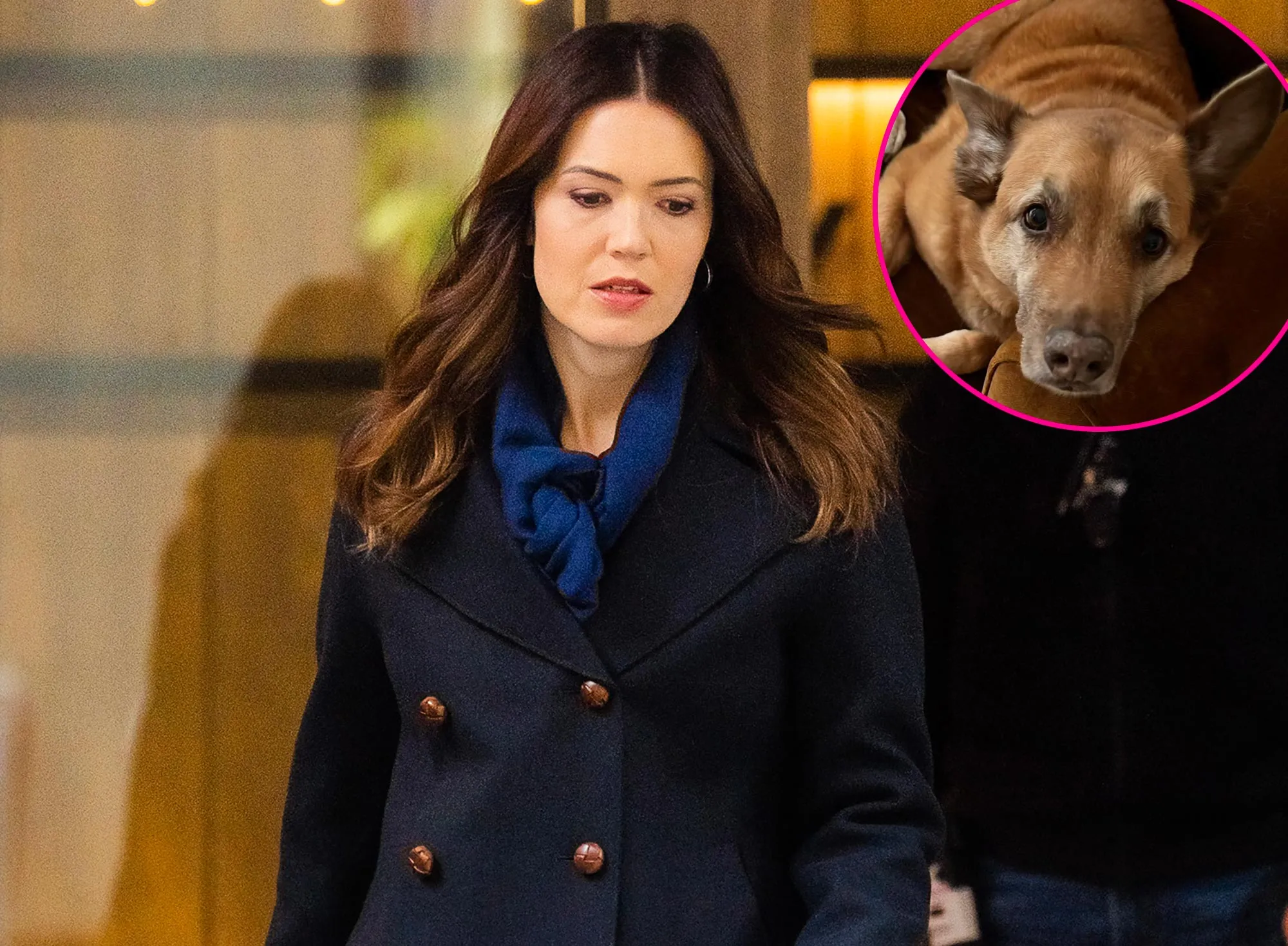 Mandy Moore Mourns the Death of Her Beautiful Dog Jackson My Sweet Old Man 600