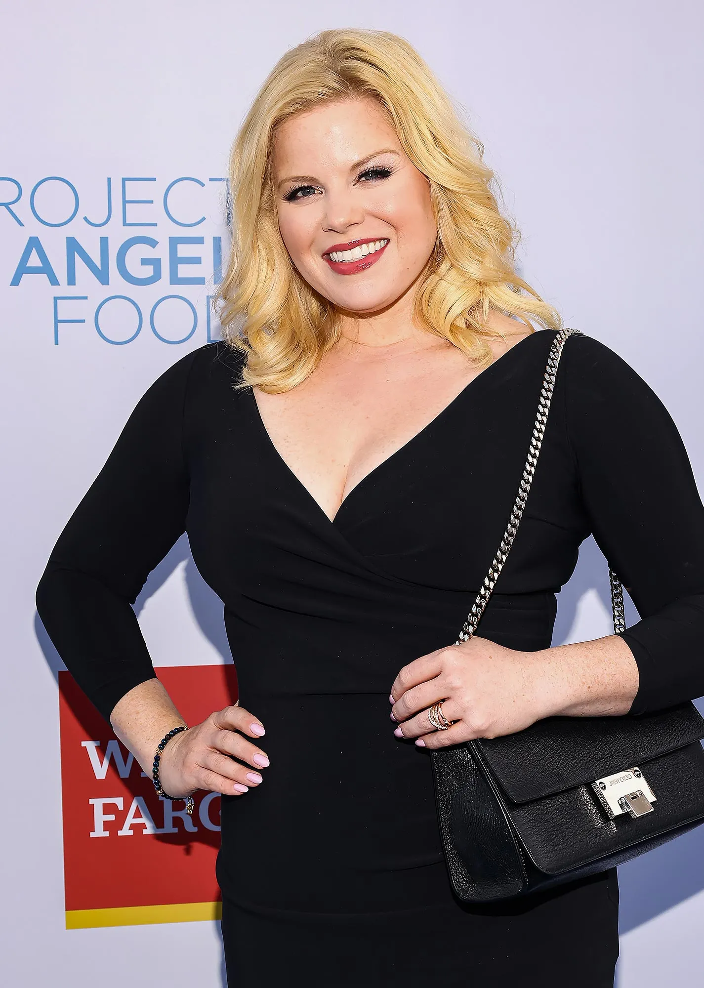 Megan Hilty bio