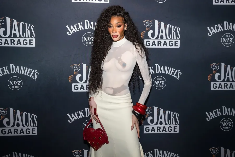 Every Celebrity Who Attended the Formula One Las Vegas Grand Prix 2024: See Photos