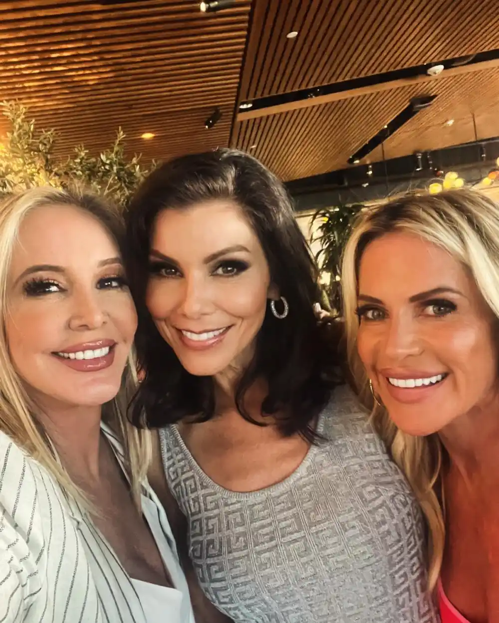 RHOC s Jennifer Pedranti Gives So Much Credit to Shannon Beador for Filming With Alexis Bellino inline