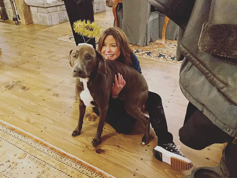 Rachael Ray Says She Was Bashed About Choosing Not to Have Kids