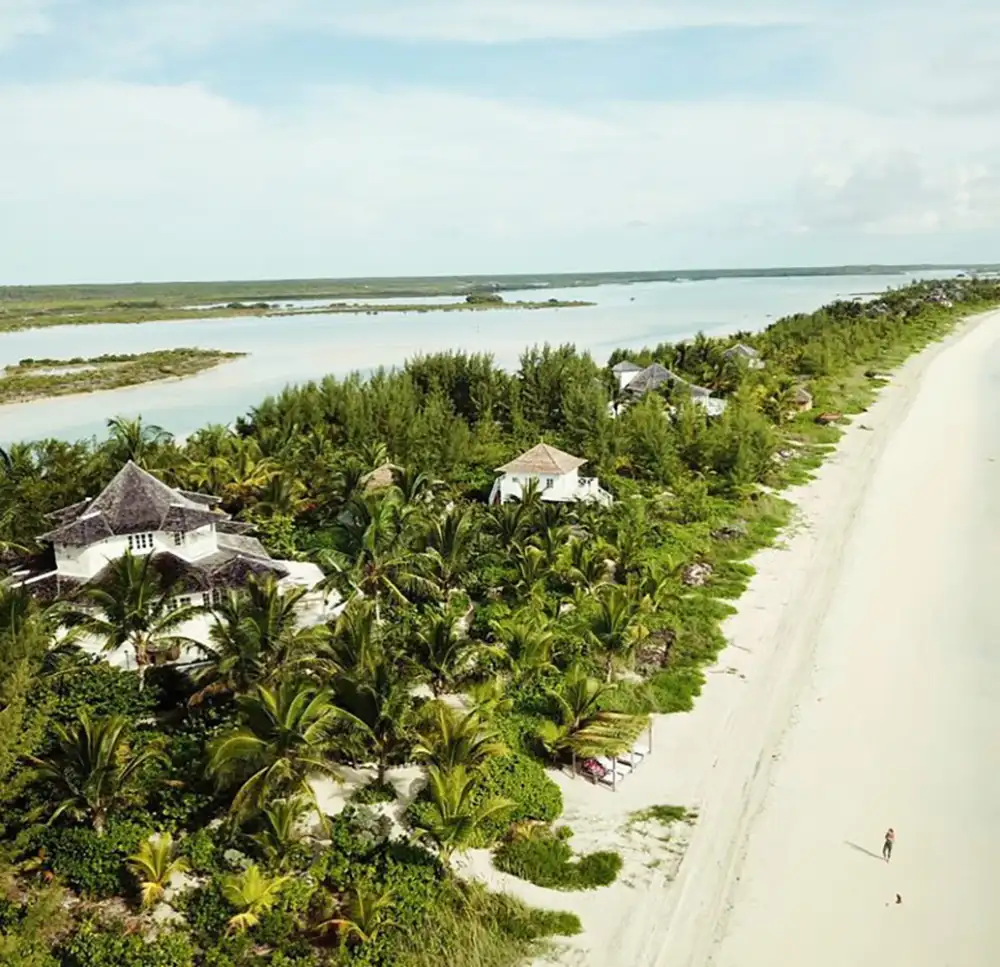 Sofia Vergara Thanksgiving 2024